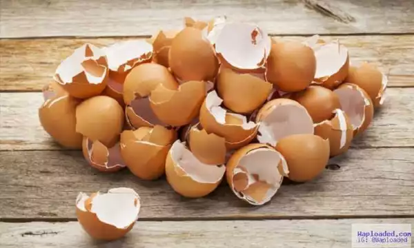 You Throw Away Egg Shells? After Reading This Article You Will Never Do That Again!